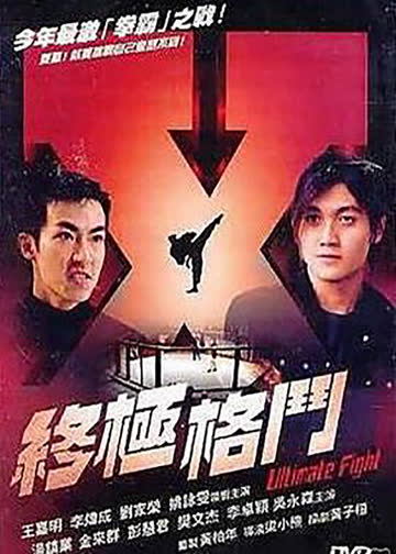 终极格斗 海报 高清在线观看