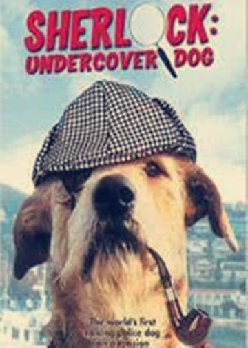 侠肝义犬 海报 高清在线观看