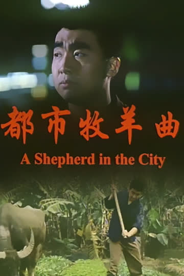 都市牧羊曲 海报 高清在线观看