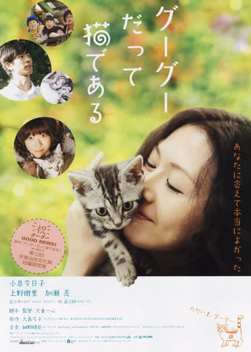 咕咕是一只猫 海报 高清在线观看