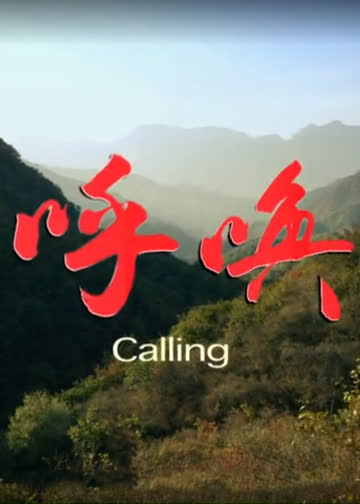 呼唤 海报 高清在线观看