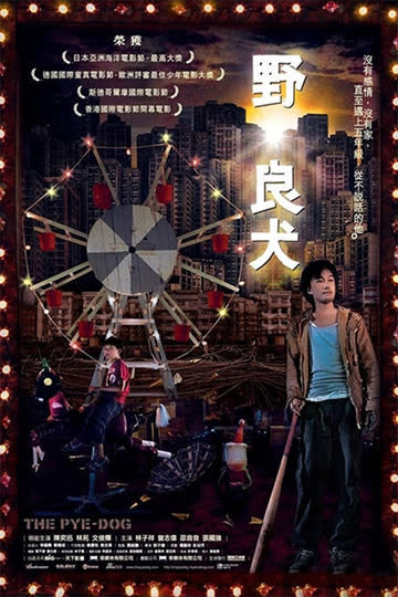 野良犬 海报 高清在线观看