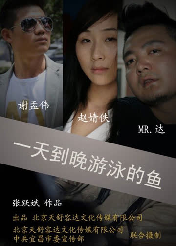 一天到晚游泳的鱼 海报 高清在线观看