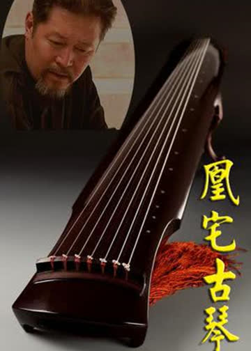 凰宅古琴 海报 高清在线观看