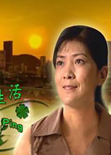 陶宝萍的幸福生活 海报 高清在线观看