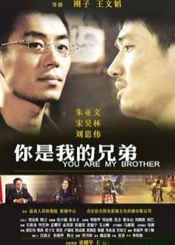 你是我的兄弟 海报 高清在线观看