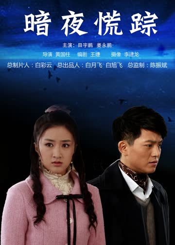 暗夜慌踪 海报 高清在线观看