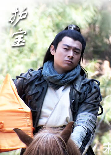 护宝 海报 高清在线观看