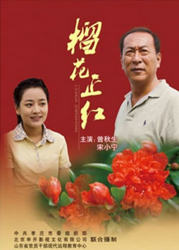 榴花正红 海报 高清在线观看