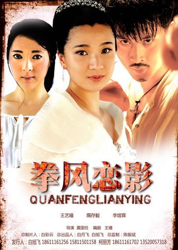 拳风恋影 海报 高清在线观看