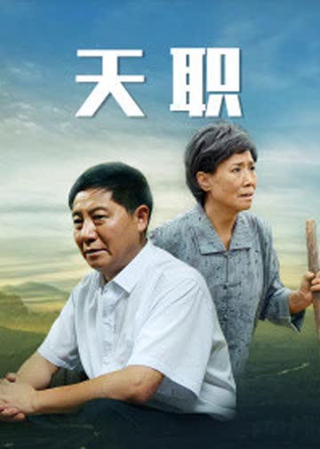 天职 海报 高清在线观看