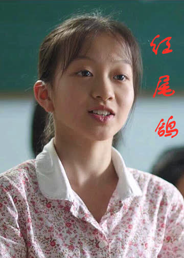 红尾鸽 海报 高清在线观看