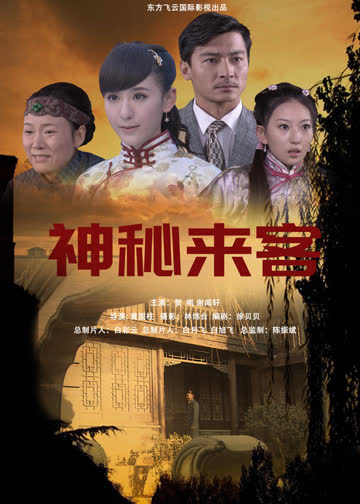 神秘来客 海报 高清在线观看