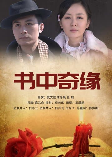 书中奇缘 海报 高清在线观看