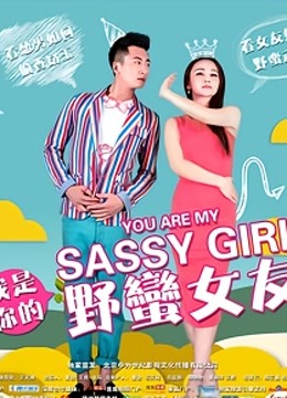 我是你的野蛮女友 海报 高清在线观看