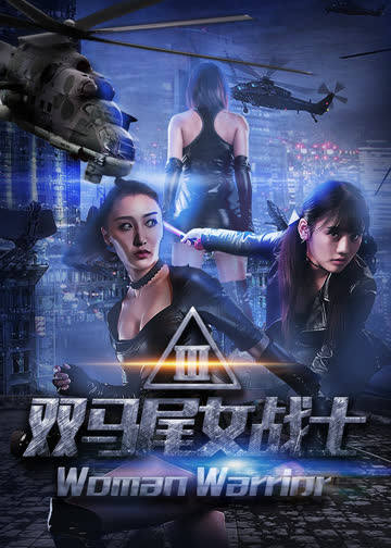 双马尾女战士 海报 高清在线观看