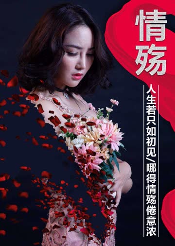 情殇 海报 高清在线观看
