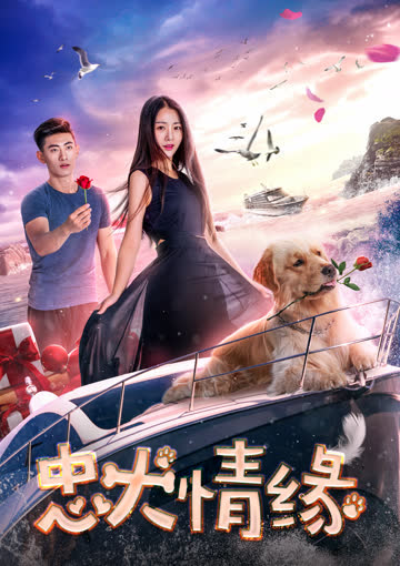 忠犬情缘 海报 高清在线观看