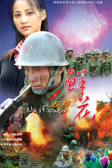 五月的鲜花 海报 高清在线观看