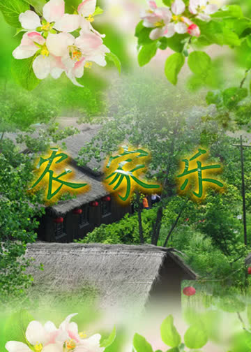 农家乐 海报 高清在线观看