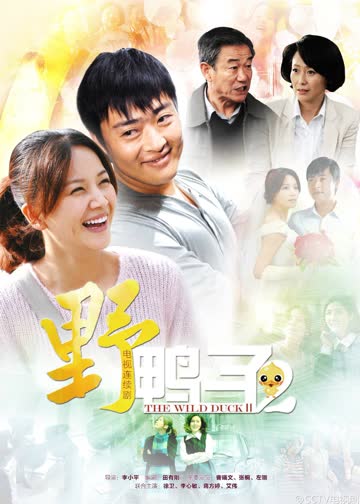 野鸭子 第2部 海报 高清在线观看