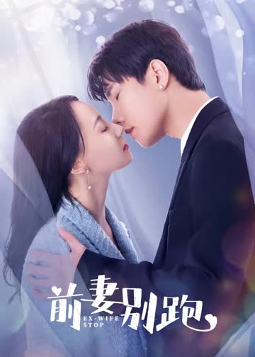 前妻别跑 海报 高清在线观看
