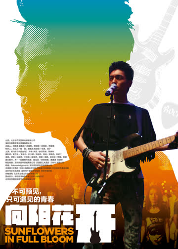 向阳花开 海报 高清在线观看