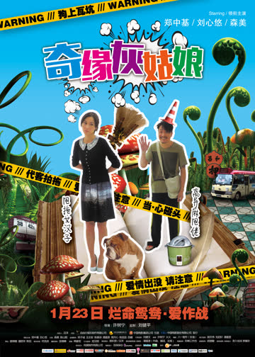 奇缘灰姑娘 海报 高清在线观看