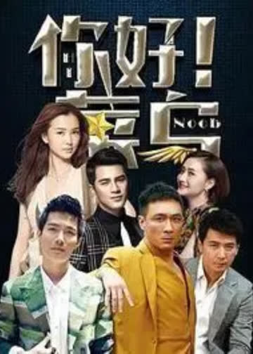 你好菜鸟 海报 高清在线观看