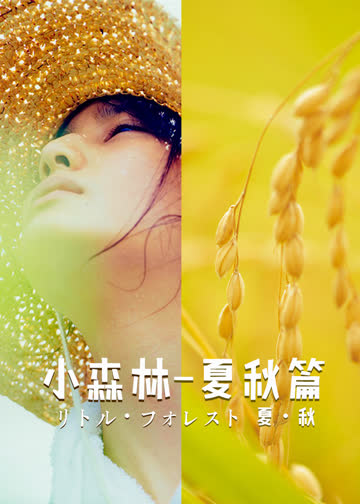 小森林夏秋篇 海报 高清在线观看