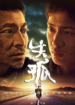 失孤 海报 高清在线观看