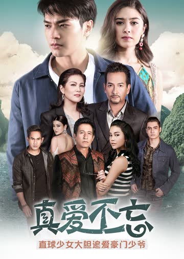 真爱不忘（普通话） 海报 高清在线观看