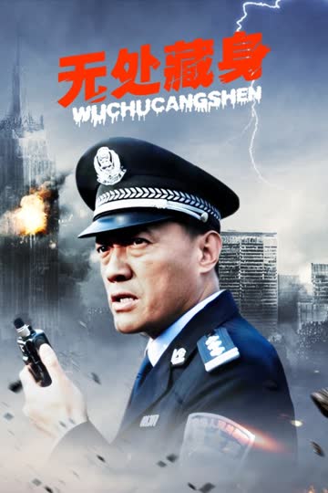 无处藏身 海报 高清在线观看