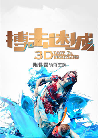搏击迷城 海报 高清在线观看