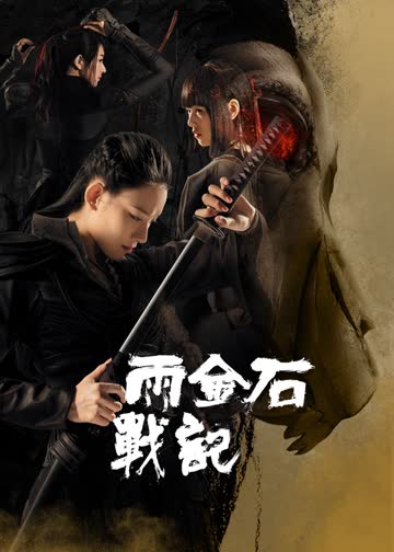 雨金石战记 海报 高清在线观看