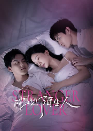 枕边陌生人 海报 高清在线观看