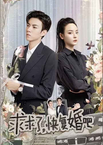 求求了，快复婚吧 海报 高清在线观看