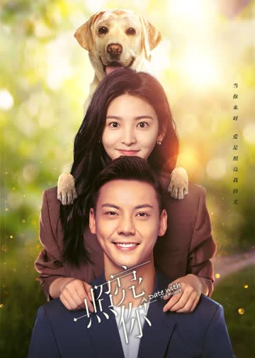 照亮你 海报 高清在线观看