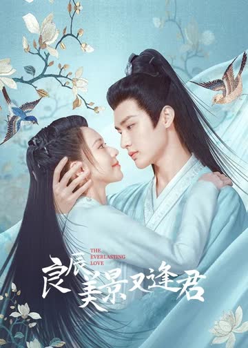 良辰美景又逢君 海报 高清在线观看