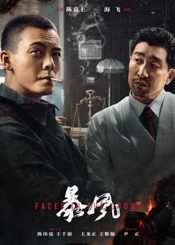 暴风 海报 高清在线观看
