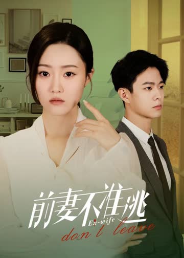 前妻不准逃 海报 高清在线观看