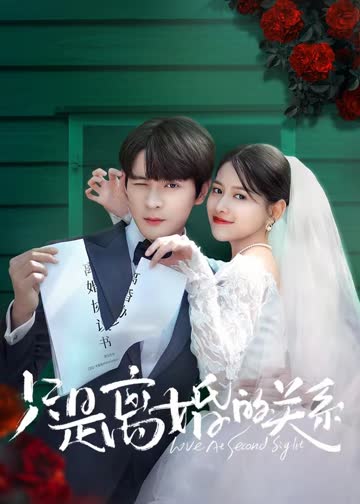 只是离婚的关系 海报 高清在线观看