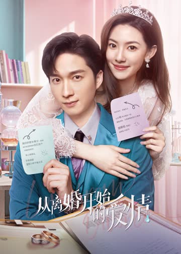 从离婚开始的爱情 海报 高清在线观看