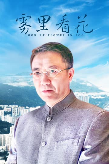雾里看花 海报 高清在线观看