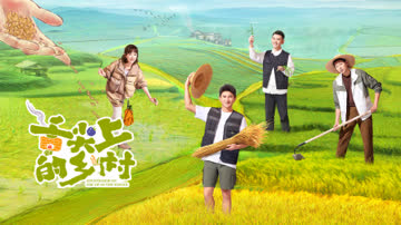 舌尖上的乡村 海报 高清在线观看