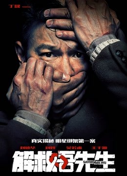 解救吾先生 海报 高清在线观看