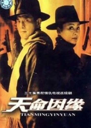 天命因缘 海报 高清在线观看