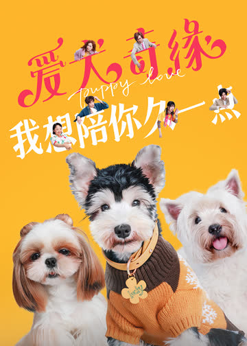 爱犬奇缘 海报 高清在线观看