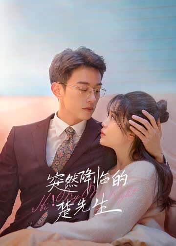 突然降临的楚先生 海报 高清在线观看