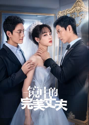 镜中的完美丈夫 海报 高清在线观看